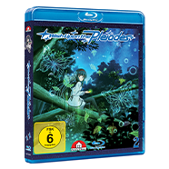 Wish upon the Pleiades Anime House